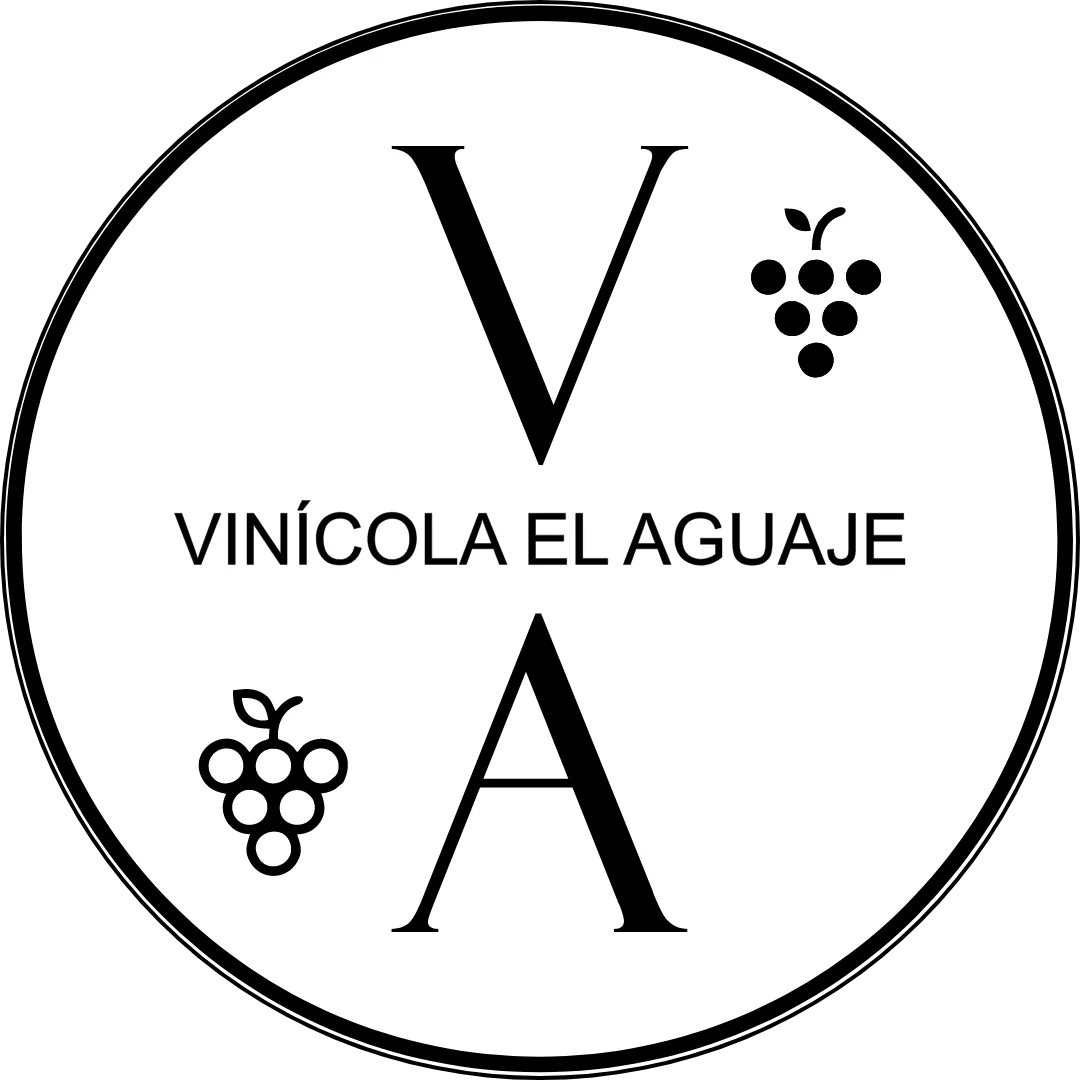 Festival del Vino