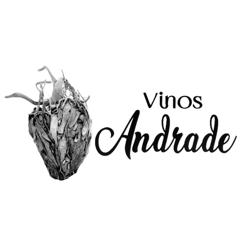 Festival del Vino