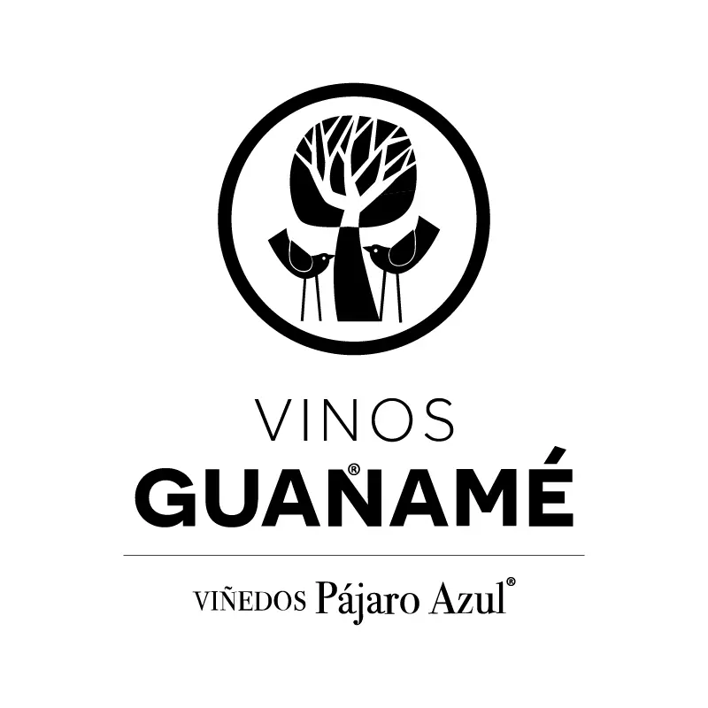 Festival del Vino