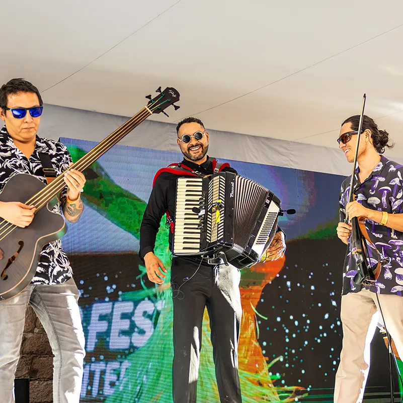 conciertos
